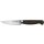 Zwilling Twin 1731 Spick- und Garniermesser 10 cm