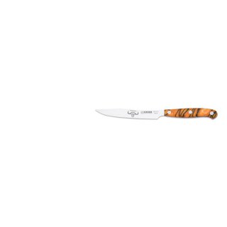 PremiumCut Steakmesser Steak No 1 Spicy Orange von Giesser